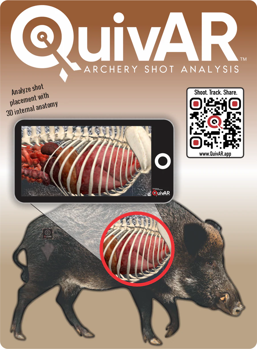 2D WILD BOAR BROADSIDE TARGET WITH QUIVAR TECH