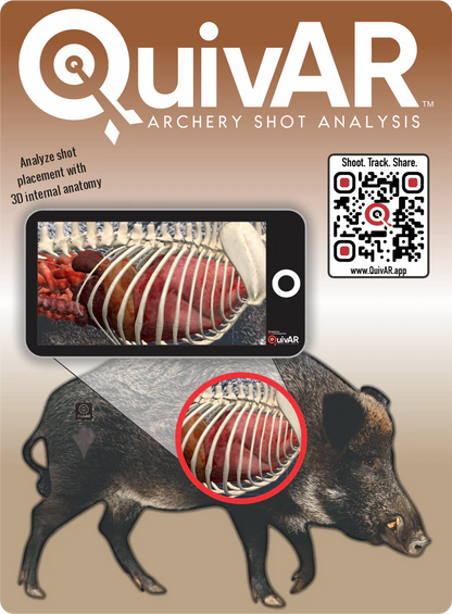2D WILD BOAR BROADSIDE TARGET WITH QUIVAR TECH