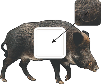 2D WILD BOAR BROADSIDE TARGET WITH QUIVAR TECH
